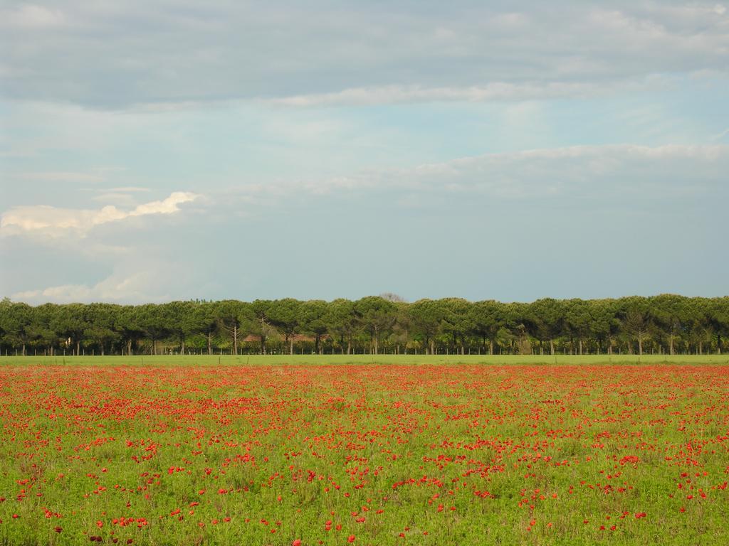 Appartamento Rossella Bibione Esterno foto